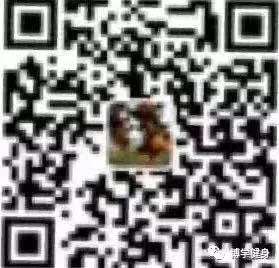 为什么互动训练有助于提高篮球比赛表现_1